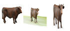 02309 Bruder Toys Bull Commercial Vehicle One Style Games 787793977152