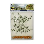 0595532 Generic Jtt Scenery Products Gardening Plants Series Pumpkins 734560955325
