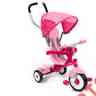 17f73594 16388219 Trike 41 Model Radio Girls Flyer