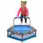 24377638 9101300 Smartrike New 3-in-1 Training Trampoline Model