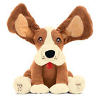 45163 Collections Musical Floppy Eared Dog By Etc 084358050740