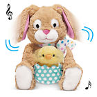 46416 Collections Animated Rabbit By Etc 191121170847 46416 Collections Animated Rabbit By Etc 191121170847