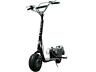 699988000319 Scooterx Dirt Dog