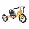B074l3td52 Schwinn Roadster Kids Tricycle Retro Look Durable Unisex 692126243159