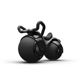 Early Rider 94650543 8 Inch Toddler Ride-on Super Velio Balance Bike - Black Magnesium