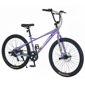 Earth & Table 950843474428 Freestyle Kids Bike Double Disc Brakes 26 Inch Childrens Bicycle For Boys