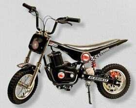 Tt250 Electric Dirt Bike Scooter Mini 250w Rechargeable Battery Burromax