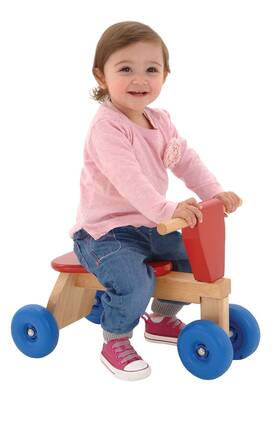 Galt 787799979792 Toys Tiny Trike Wooden Baby/infant First Bike Ages 1 Year Plus
