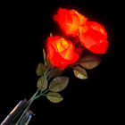 Glrosrr Rinco Valentines Day Light Up Rose Led 097138662552