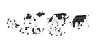 N-a Bachmann Trains Cows Black And Free Delivery 0022899331034