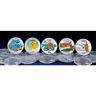 N-a Treasure Chest Coin Collections American Treasures Colourized Statehood 0056132005840