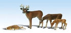 N-a Woodland Scenics Buck Family Delivery Is Free 0724771025436