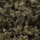 N-a Woodland Scenics Fine Leaf Foliage Brand New 0724771011347