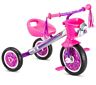 Tm3200 Kid Trax Paw Patrol Inch Skye Tricycle Pink Tassels Nib