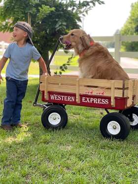 Western Express 191245812524 All Terrain Red Wagon