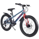 20" Kids BICYCLE,7-SPEED Fat Tire Mountain Bike For Boys & Girls Age 5 + Years. Fixed Price $175.39.