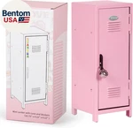 Mini Locker With & Keys, Stickers, Metal Small For Desktop, Girls. Fixed Price $41.14.