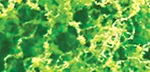 Jtt Foliage Fiber Cluster Coarse Light Green 150 Square Inches 95057. Fixed Price $8.98.