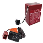 Replacement Battery For Power Wheels 00801-0712 And Charger. Fixed Price $95.48.