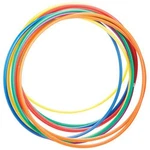 Deluxe Hoops - 30'' 1064919. Fixed Price $115.33.
