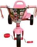 Radio Flyer Fold 2 Go Trike With Storage Bin Pink Readily Assembled (open Box). Fixed Price $39.99.