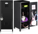 2 Pcs Mini Metal Locker Storage With And Keys 10.8 Inch Small Money Secur. Fixed Price $28.04.