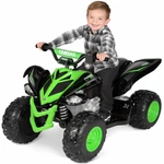 Yamaha 12 Volt Raptor Battery Powered Ride-on New Custom Graphic Design For. Fixed Price $240.81.